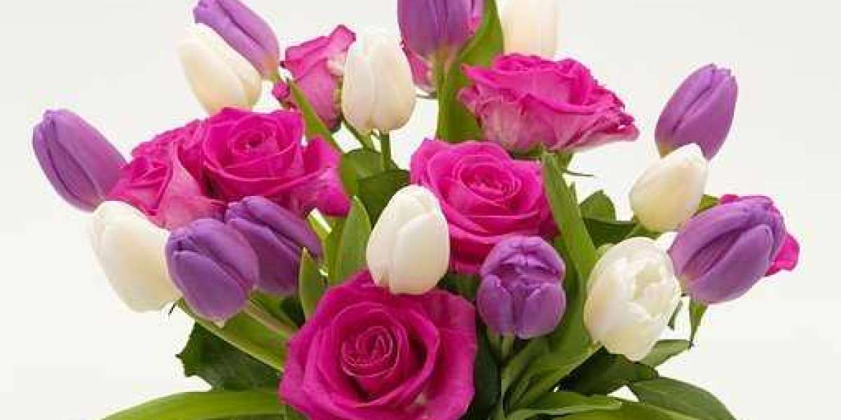 Top 7 Tulip Flowers That Shows Eternal Love