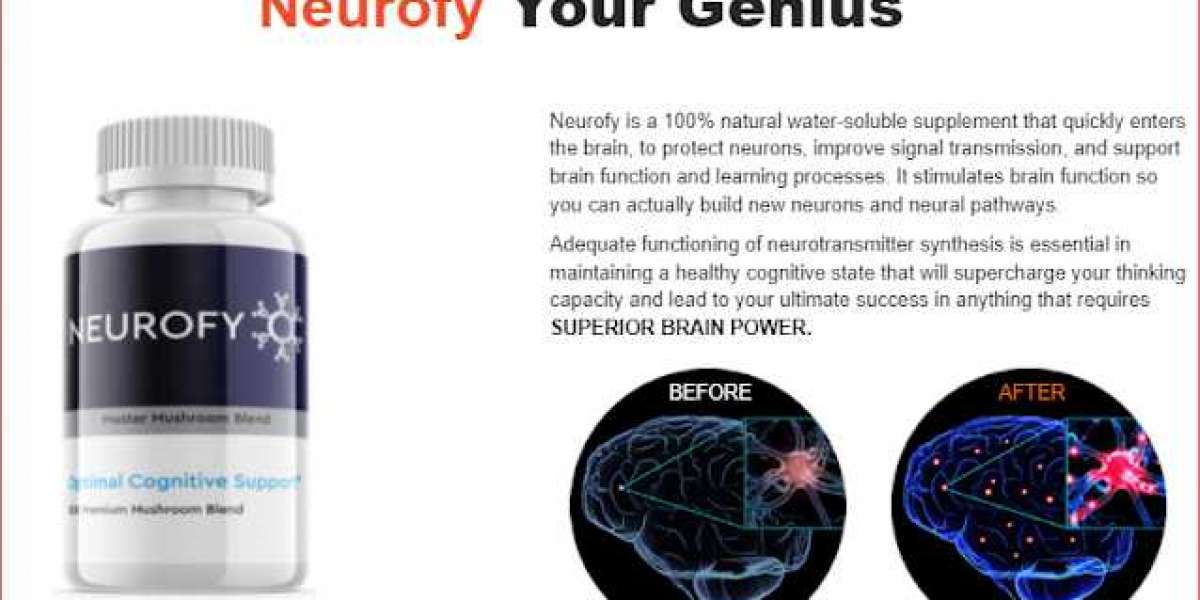 Neurofy Mushrooms 10x Brain Pills- Is 100% Scam Or legit