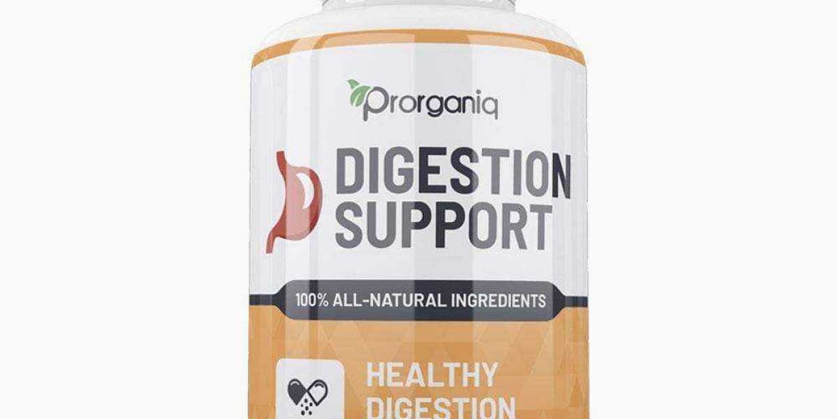 Digestion Support - What to Know Before Buy!