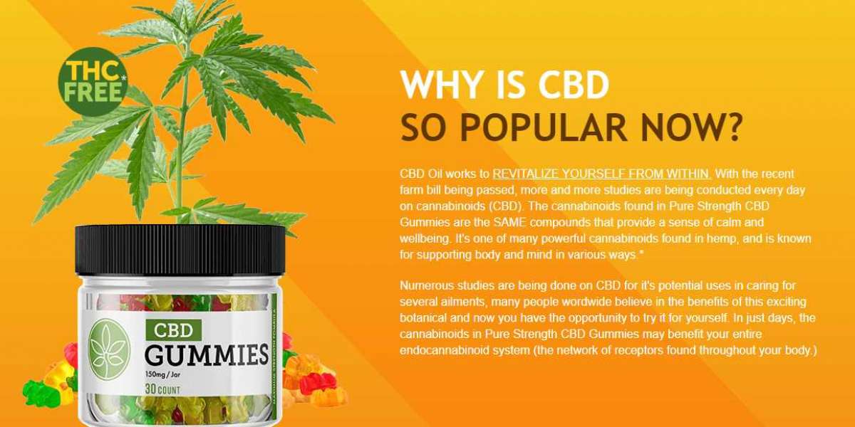 Holistic Farms CBD Gummies, Benefits, Uses, Work, Results & Where To Buy?