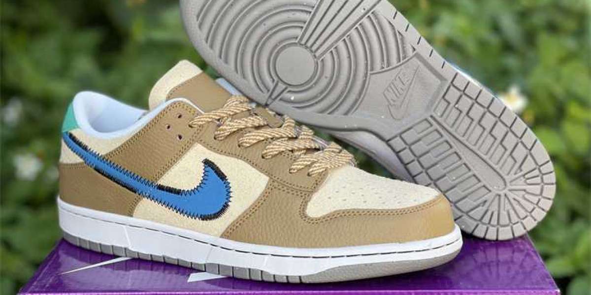 Did you like the Nike Dunk Low?