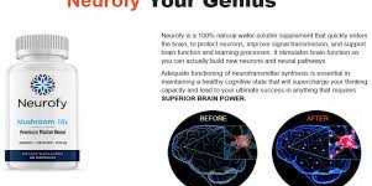 Neurofy Cognitive Enhancer Reviews: Real or Hoax Price of Neurofy Pills?