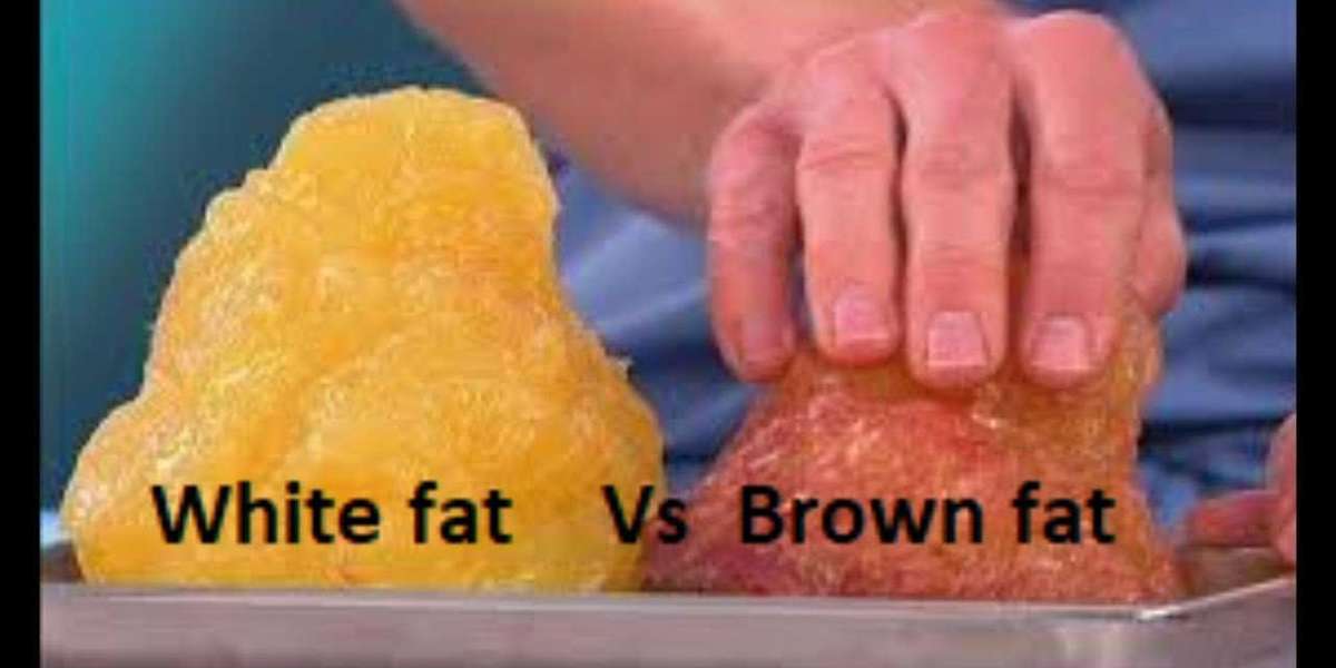 The Miracle of Brown Fat