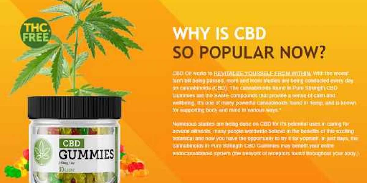 10 Sparkling CBD Gummies That Will Actually Make Your Life Better.