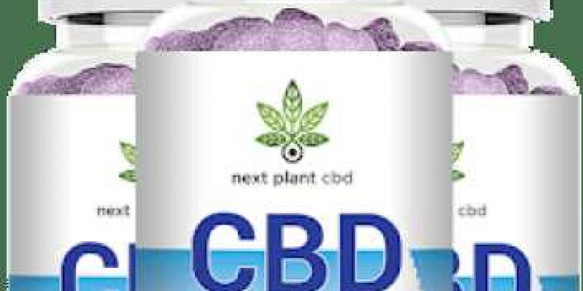 How Next Plant CBD GummiesWork?