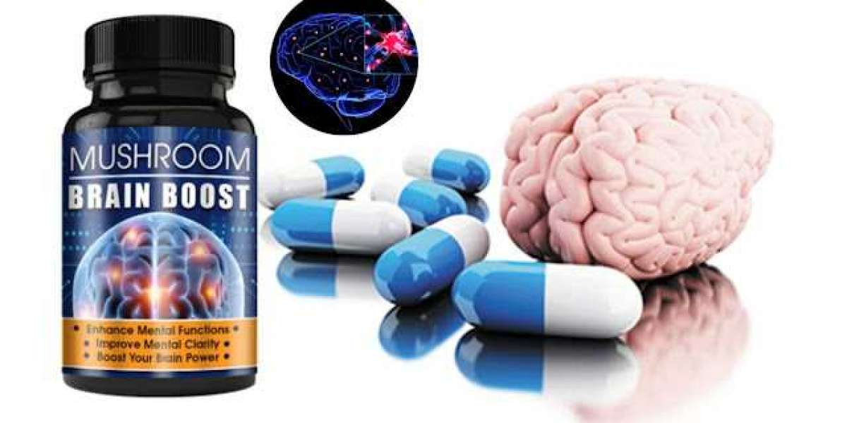Mushroom Brain Boost – Official Reviews And Price Update In USA