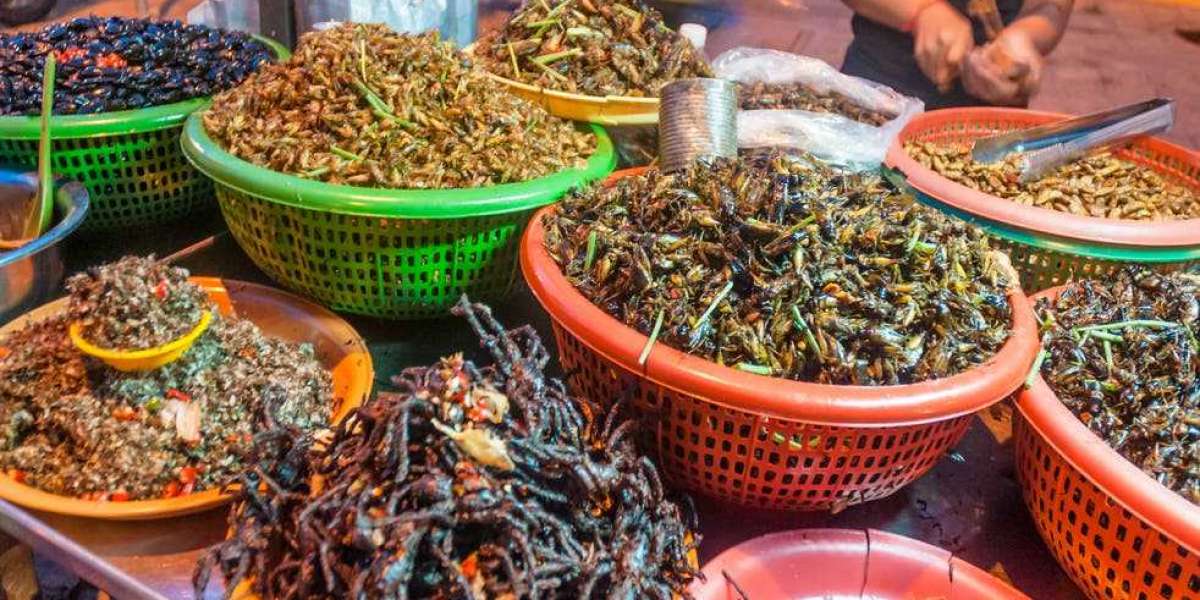 Edible Insect Market Size, Share, Growth, Trends, Statistics and Regional Forecast To 2028