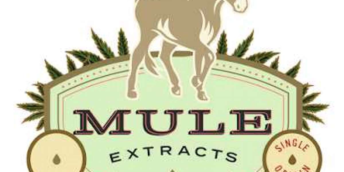 Mule CBD Gummies UK Review – Legit Brand or Cheap Formula?