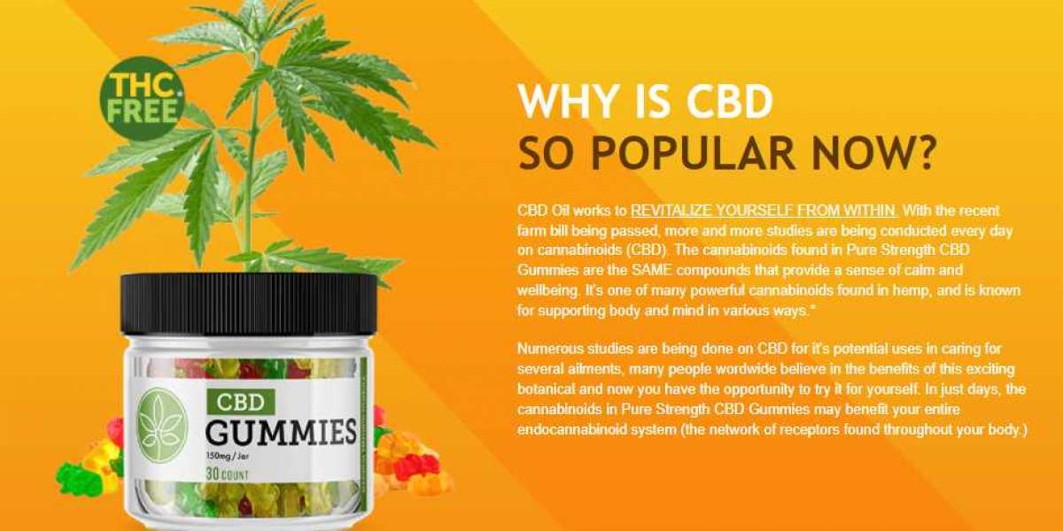 Top 10 Best CBD Gummies Of This Year Updated! Read All Reviews And Go Though The Sites To Purchase!