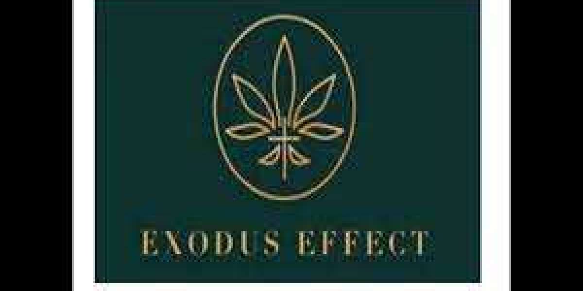 Exodus Effect Reviews:- Must Read Before Buying!