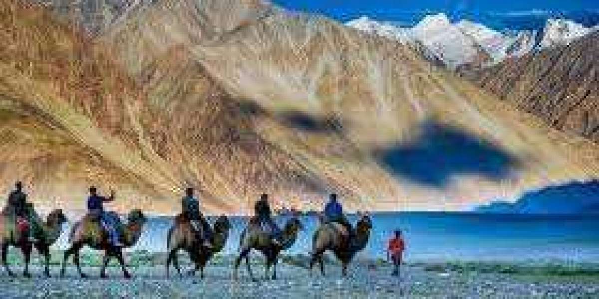 Best Places To Visit In Ladakh