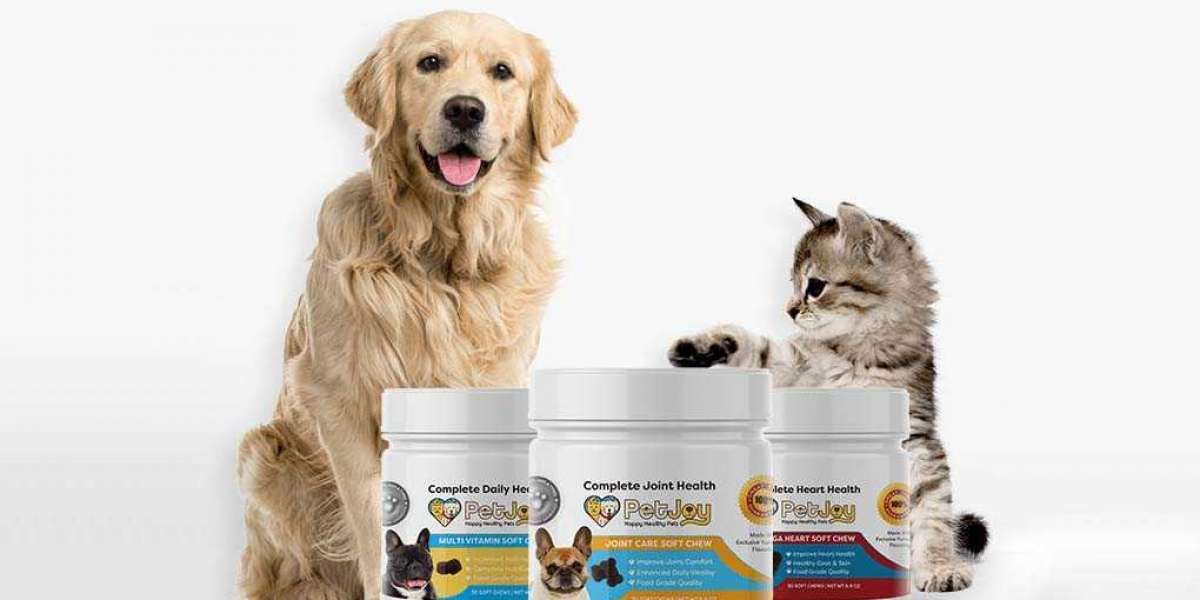 Reviews Of Petjoy multivitamins for dogs, Best For Your Lovely Pets.