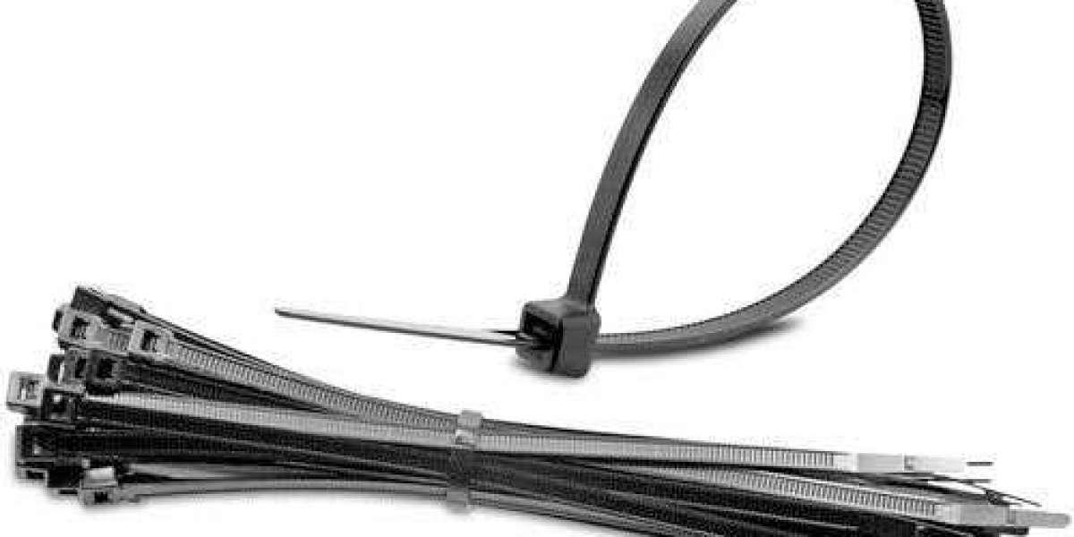 Stainless Steel Cable Ties Market Report | Industry Diversification Across Region, Types, and Application Till 2030