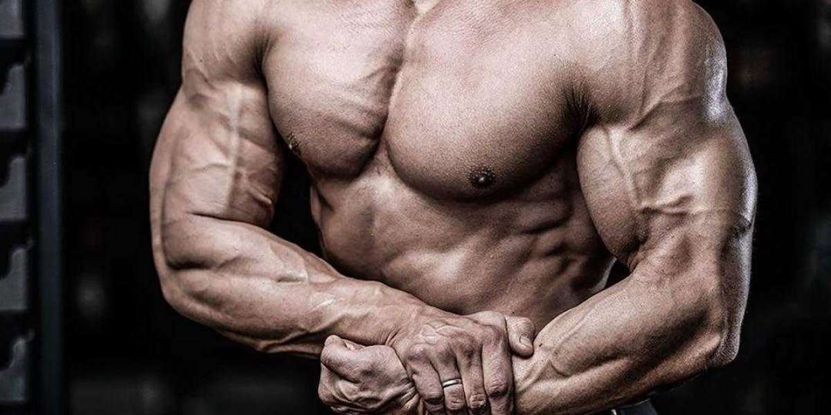 RAD-140 SARMs Review (USA): Testolone Results, Dosage And Side Effects