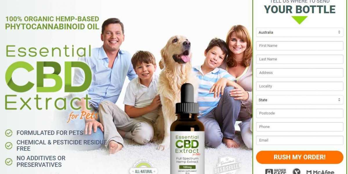 Essential CBD Extract for Pets – How Does It Really Work For Pets Health?