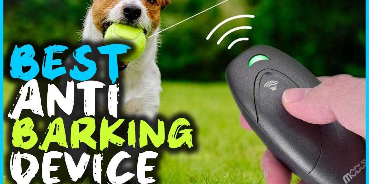 Best Anti-Barking Device: Are these gadgets powerful?
