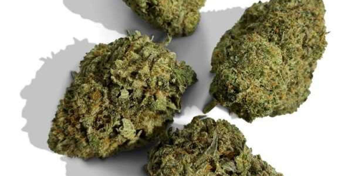 All You Need to Know About Wedding Cake Strain