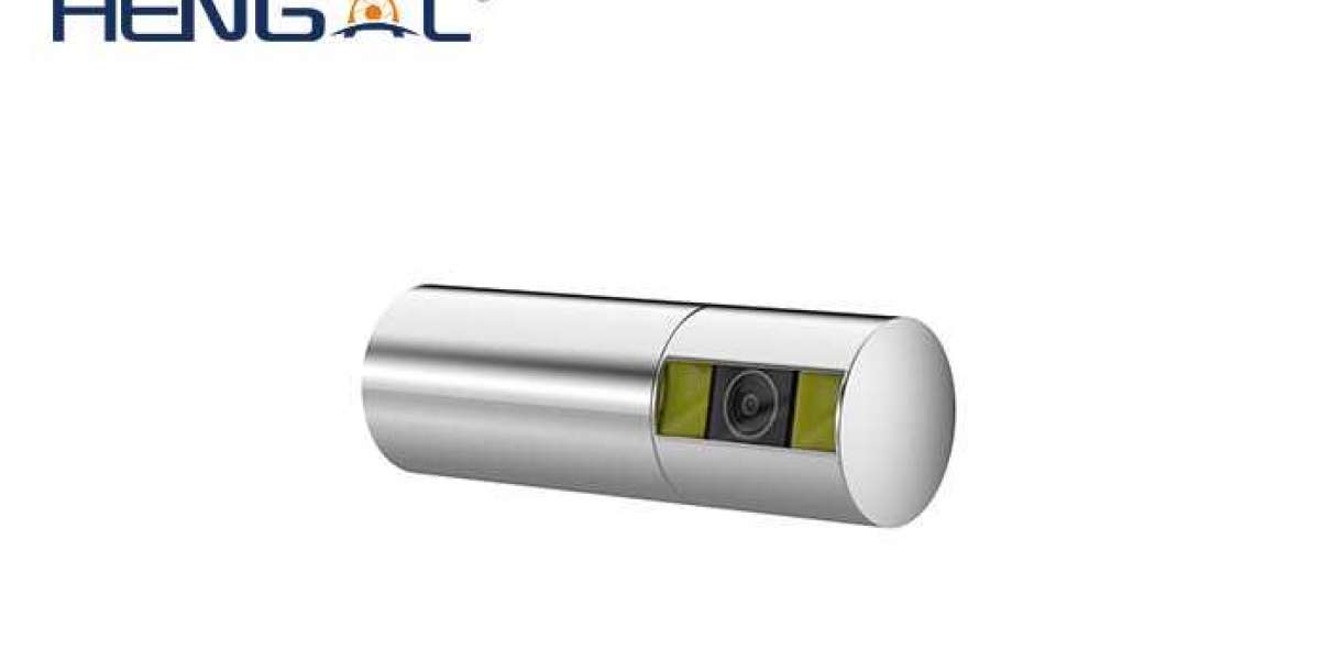 Handheld Video Endoscope Manufacturers