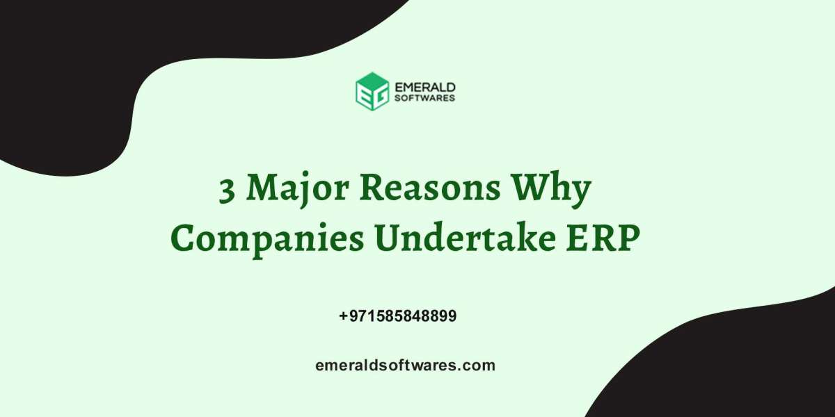 3 Major Reasons Why Companies Undertake ERP