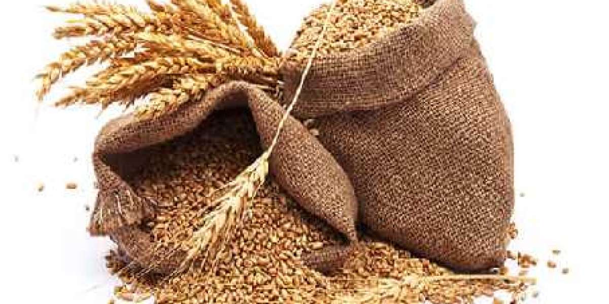 Wheat Market : Size, Share, Forecast Report by 2030