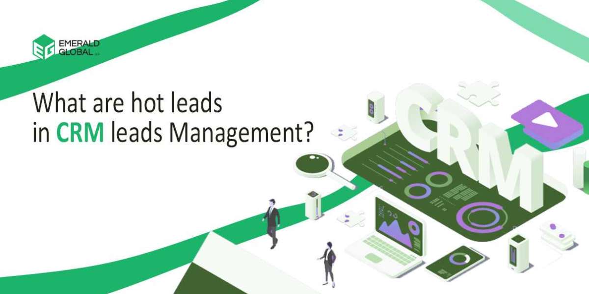 What are hot leads in CRM leads management?