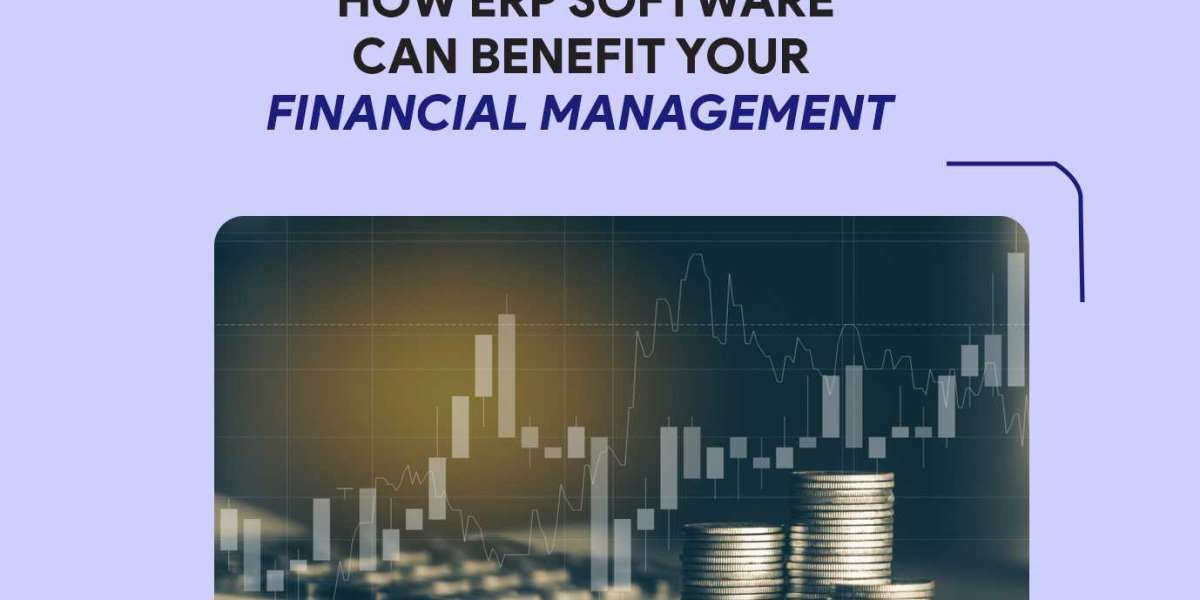 How ERP software can benefit your financial management?