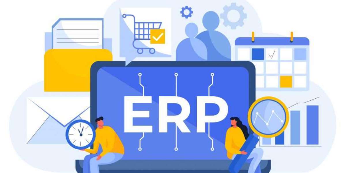 ERP Software for distributor