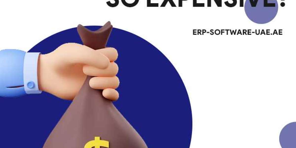 Why Is ERP software So Expensive?