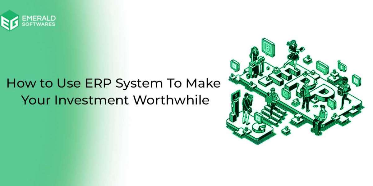 How to Use ERP System To Make Your Investment Worthwhile?