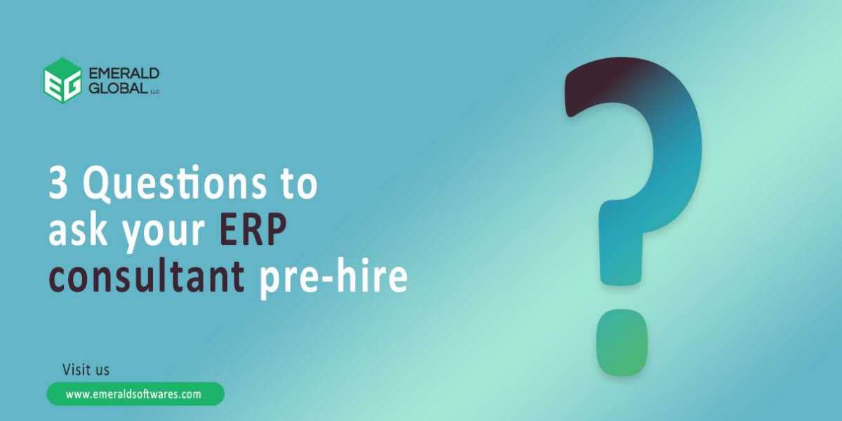 3 Questions to ask your ERP consultant pre-hire