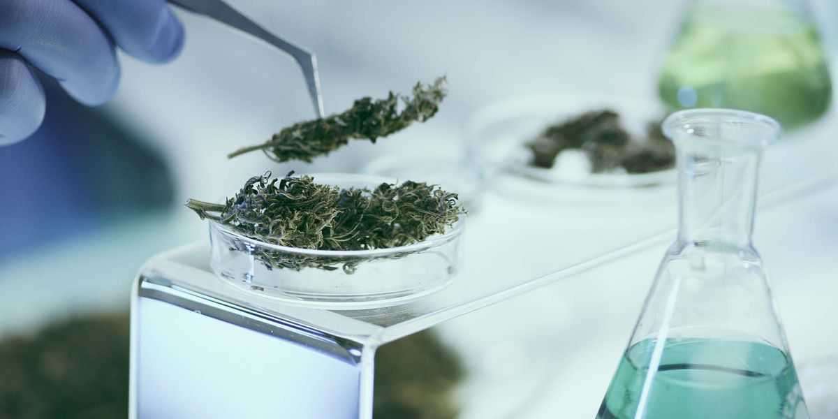 Cannabis Testing Market Size Growing at 12.72% CAGR Set to Reach USD 2,669.45 Million By 2028