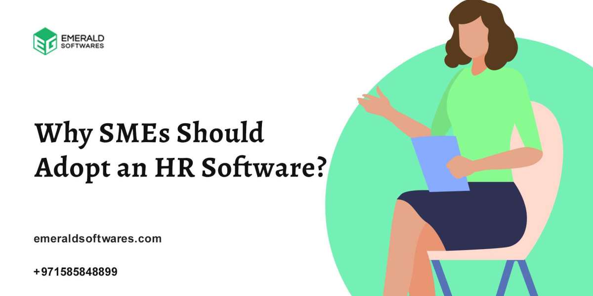 Why SMEs Should Adopt an HR Software?