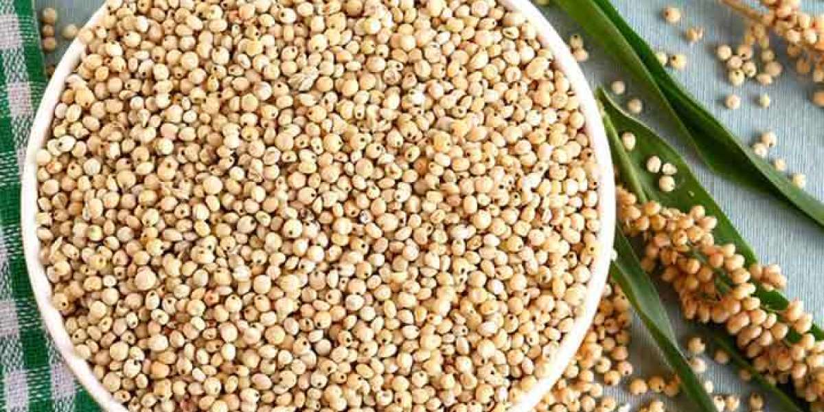 Sorghum Flour Market Future Trends, Top Key Players and Forecast to 2026