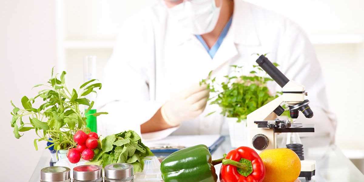 Genetically Modified (GM) Food Safety Testing Market Future Trends, Top Key Players and Forecast to 2032