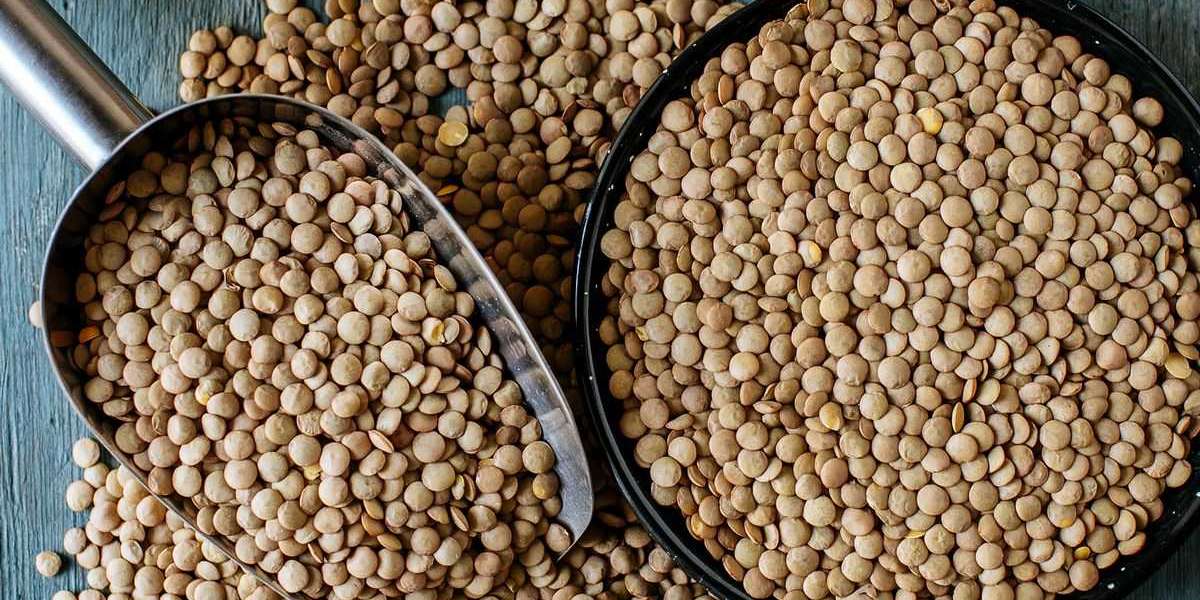 Red Lentil Market Applications, Regional Analysis and Trend Forecast 2026