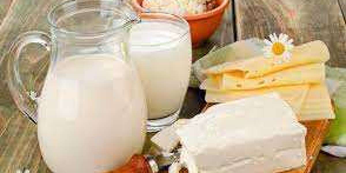 Powder Dairy Blends Market Growth Outlook, Opportunities and Forecast 2028