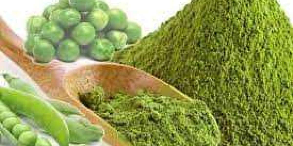 Textured Pea Protein Market Growth Overview and Trends Analysis with Forecast 2028