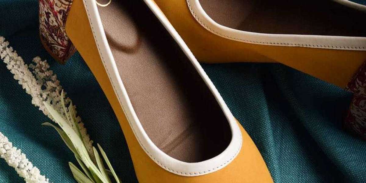 Vegan Footwear for Heels Market Analysis By Future Demand, Top Players, and Growth Rate Through 2030
