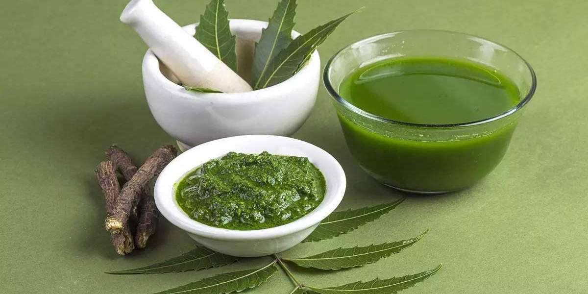 Bark Neem Extracts Market  Detailed Analysis and Growth Strategies, Regional Trend Forecast till 2027