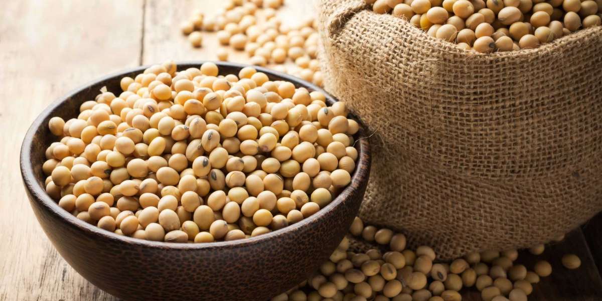 Soy Protein Isolates MarketAnalysis of Current and Future Industry Trends and Growth till 2030