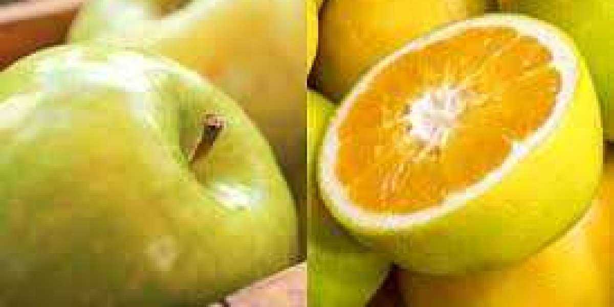 Citric Organic Acids Market Size and Forecast by 2028