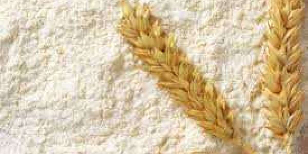 Wheat Protein for Textured Protein Market  Growth Rate and Strategic Outlook by 2027