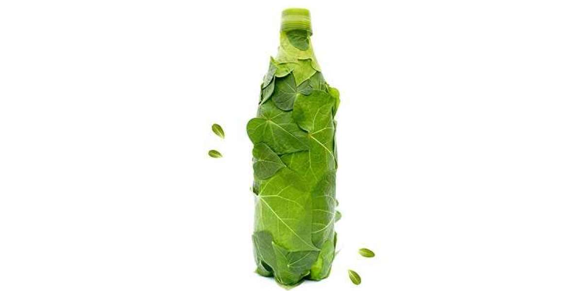 Biodegradable Water Bottle for Travel Market Share, Size, Growth and Forecast by 2028