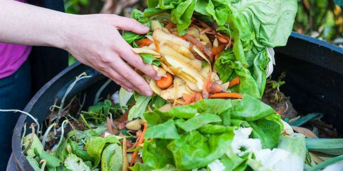 Food Waste Recycling Machine Market  Competitive Dynamics and Global Outlook, Forecast by 2028