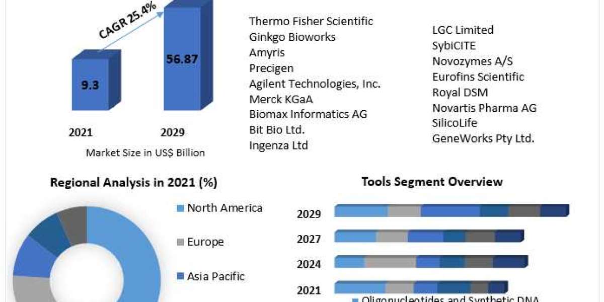 Synthetic Biology Market Research Statistics, Business Strategy And Growing Trends