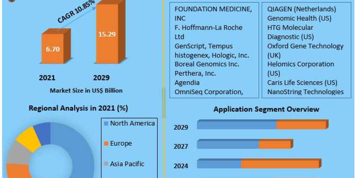 Cancer/Tumor Profiling Market Industry Share, key Trends And Forecast 2029