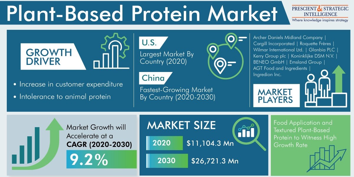Plant-Based Protein Market Share, Growing Demand, and Top Key Players