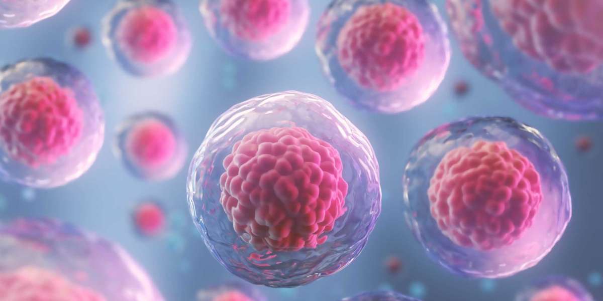Cell and Gene Therapy Market Key Companies, Business Opportunities, Competitive Landscape and Industry Analysis Research