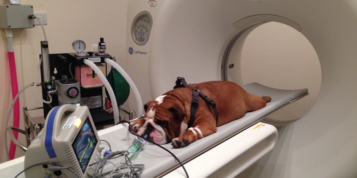 Veterinary CT Scanner Market Outlook Report on Key Drivers Boosting the Industry growth