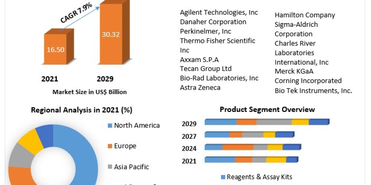 High Throughput Screening Market Business Scope, Regional Insights, Trends And Industry Share